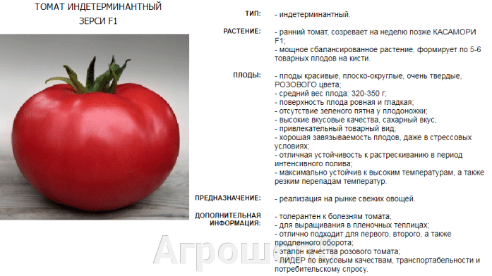 Томат булат f1: характеристика и описание сорта, отзывы об урожайности помидоров и фото куста