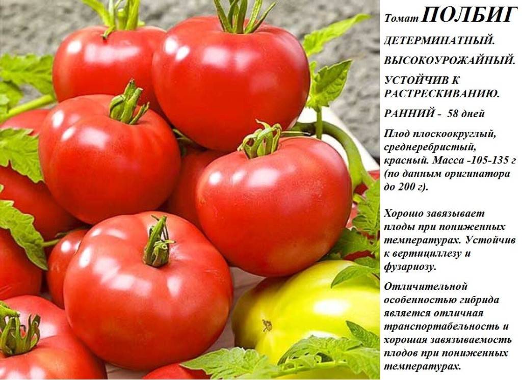 Томат клубничный десерт: описание сорта и характеристика, отзывы тех кто сажал помидоры об их урожайности, фото куста
