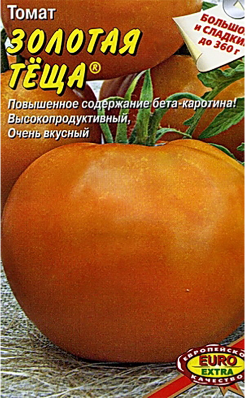 Томат золотая теща: характеристика и описание сорта, его урожайность, особенности выращивания помидоров в открытом грунте и теплице, а также фото