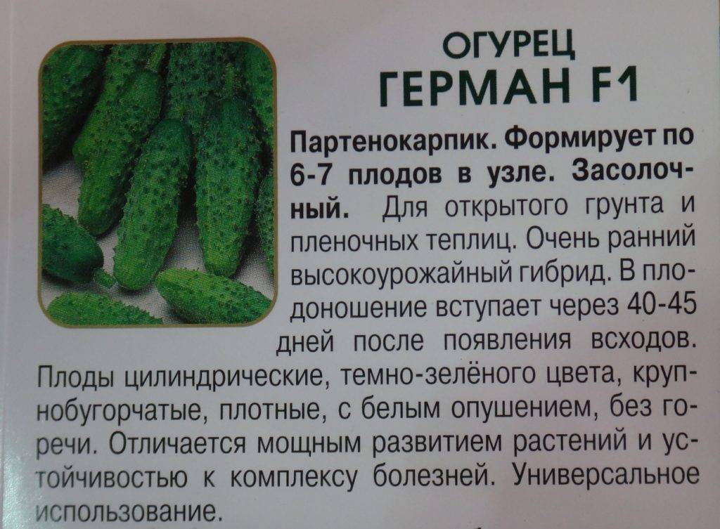 Огурец салинас f1: описание сорта, отзывы, фото, урожайность