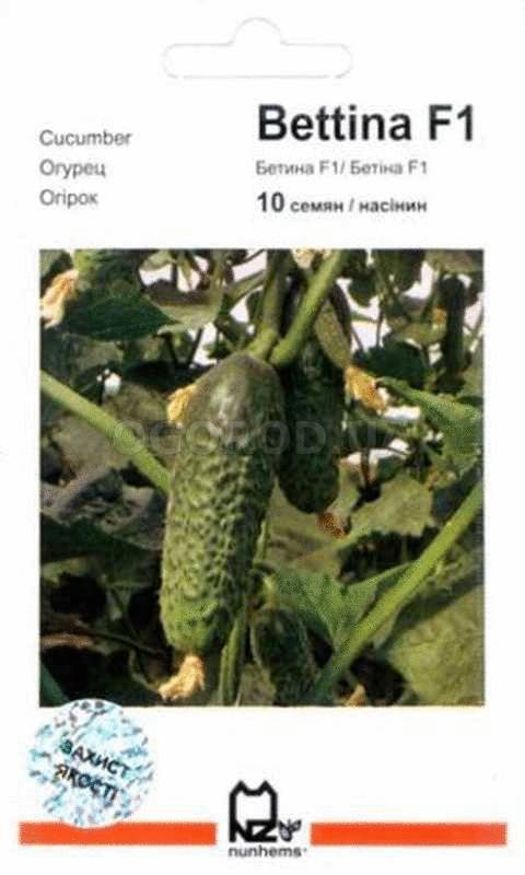 Огурец барвина f1: описание, выращивание, уход, фото