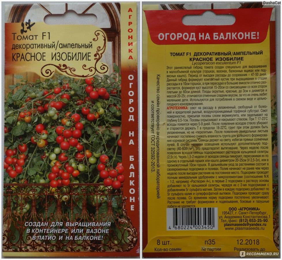 Ампельные томаты (фото) - выращивание и сорта