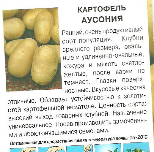 Картофель колобок -