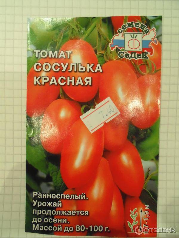 Описание сорта томата сосулька черная, особенности выращивания – дачные дела