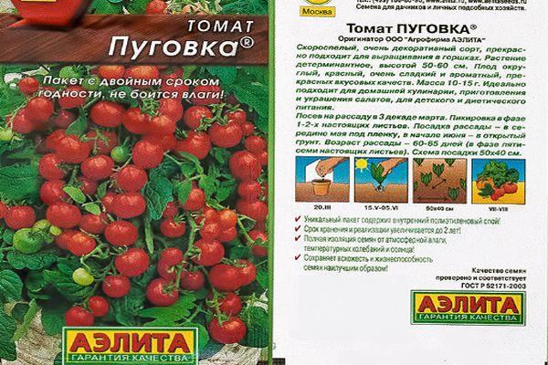 Выращивание сорта томата пуговка, его характеристика и описание - всё про сады