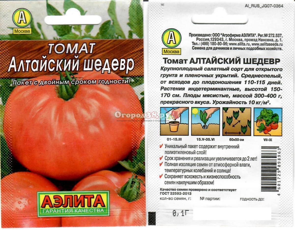 Хороший выбор даже для начинающих огородников — томат «машенька» и секреты его выращивания для получения богатого урожая