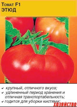 Описание сорта томата соната нк f1, его характеристика и урожайность - все о фермерстве, растениях и урожае