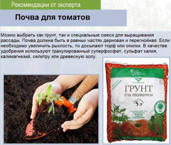 Рекомендации опытных садоводов по приготовлению землю для рассады помидоров — фазенда