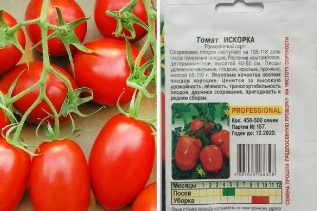 Когда сажать помидоры на рассаду в 2023 году + благоприятные дни по лунному календарю