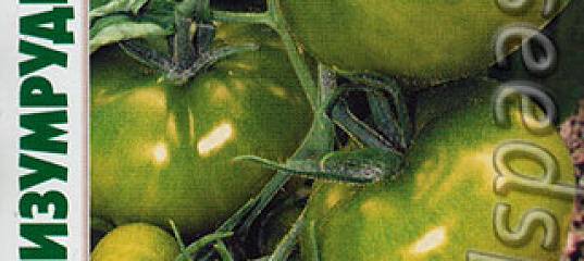 Томат изумрудный штамбовый: характеристика и описание сорта, фото куста, отзывы об урожайности помидоров