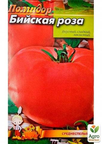 Характеристика и описание сорта томатов бийская роза и бийский розан - всё про сады