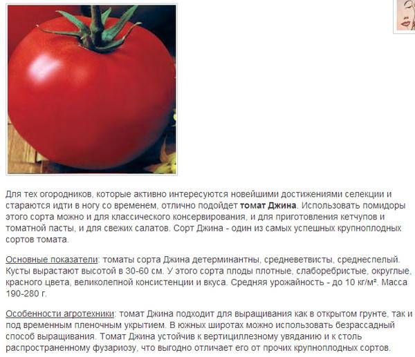 Безрассадные помидоры сорта