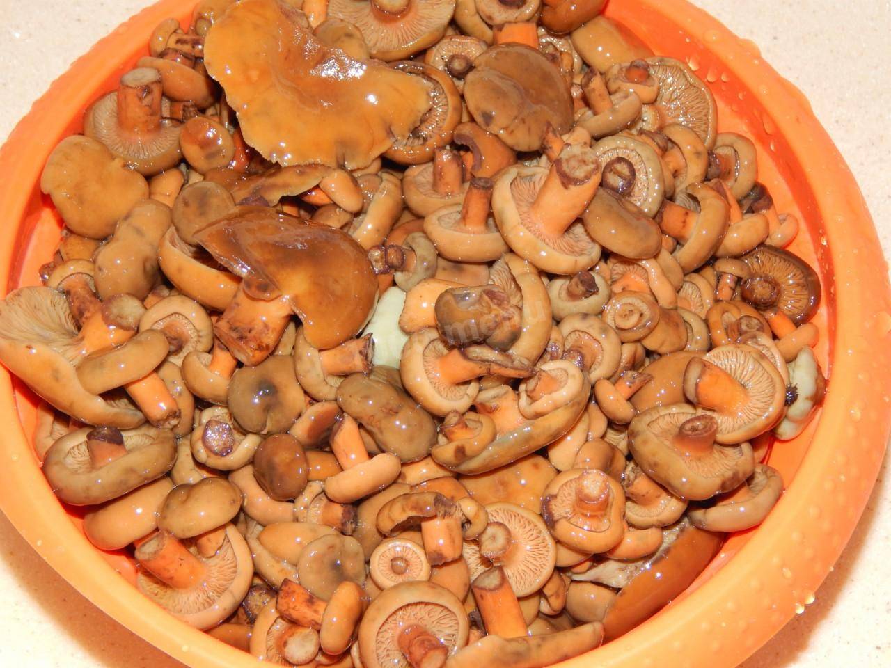 Как мариновать грибы рыжики: легкие и быстрые рецепты