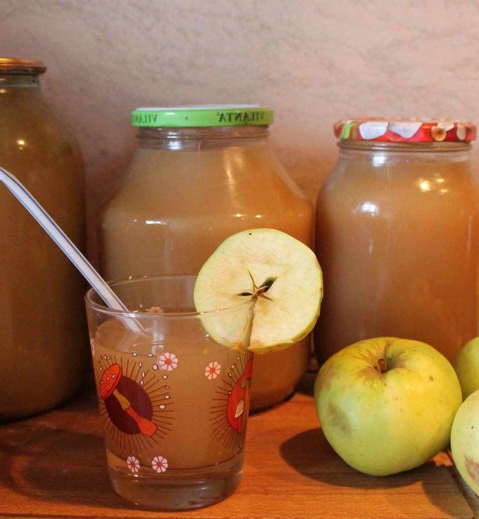 Яблочный сок на зиму в домашних условиях через соковыжималку