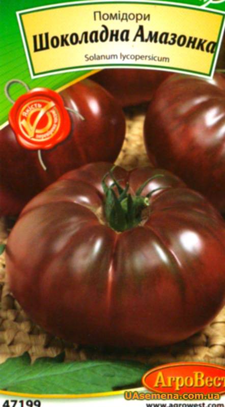 Томат шоколадное чудо: характеристики и выращивание помидора
