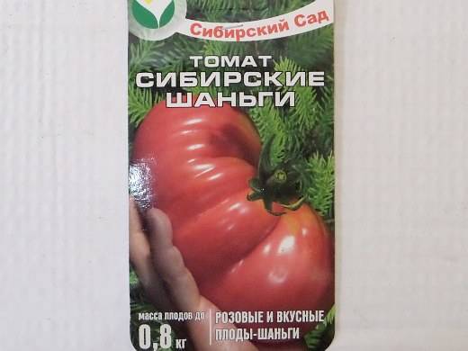 Томат сибирские шаньги: описание сорта, отзывы, фото, урожайность | tomatland.ru