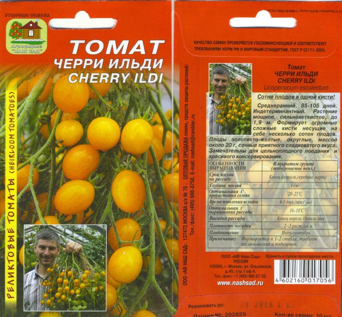Помидор с хорошей устойчивостью — томат золотая теща f1: описание и характеристика сорта