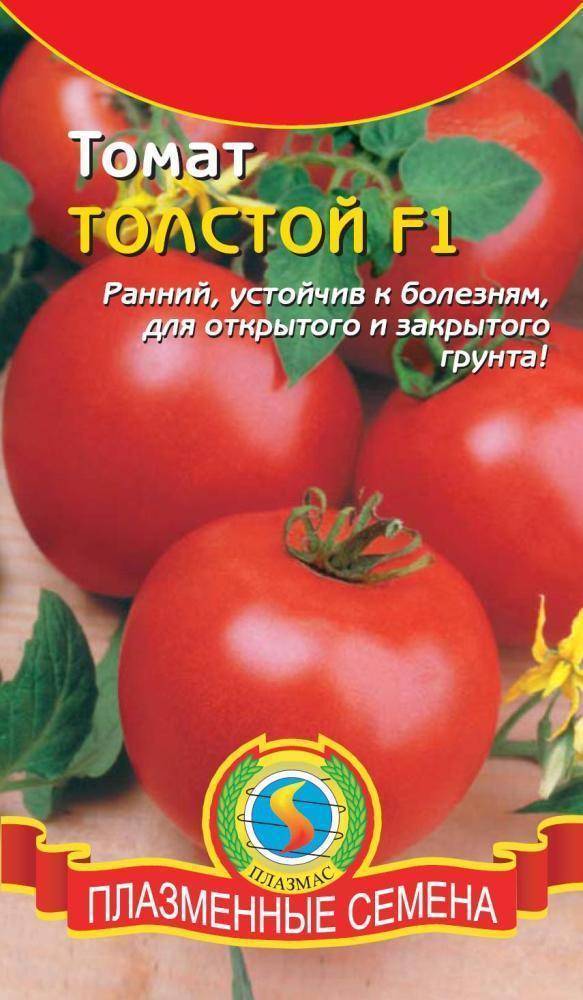Томат толстой f1: описание и характеристика сорта, особенности выращивания помидоров, отзывы, фото, видео
