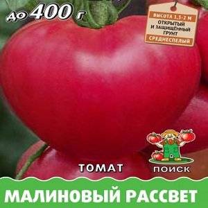Томат малиновый рассвет: описание сорта, отзывы, фото | tomatland.ru