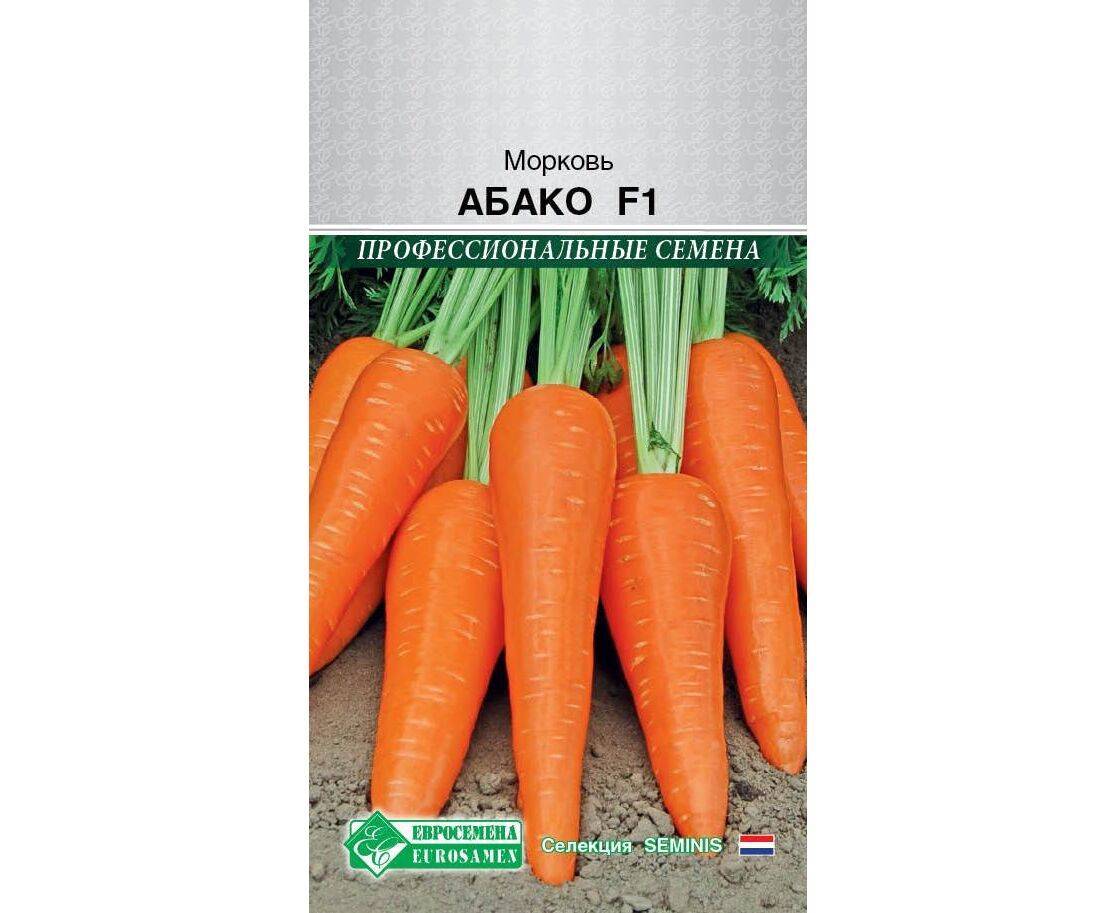 Морковь абако f1: описание и характеристика сорта, проращивание семян и посев, сроки созревания и сбор урожая, возможные вредители и болезни