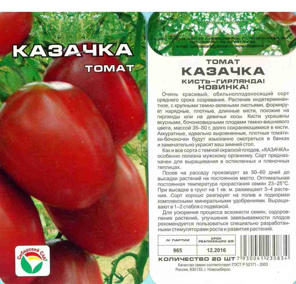 Сорт помидора «жигало»: фото, отзывы, описание, характеристика и урожайность.