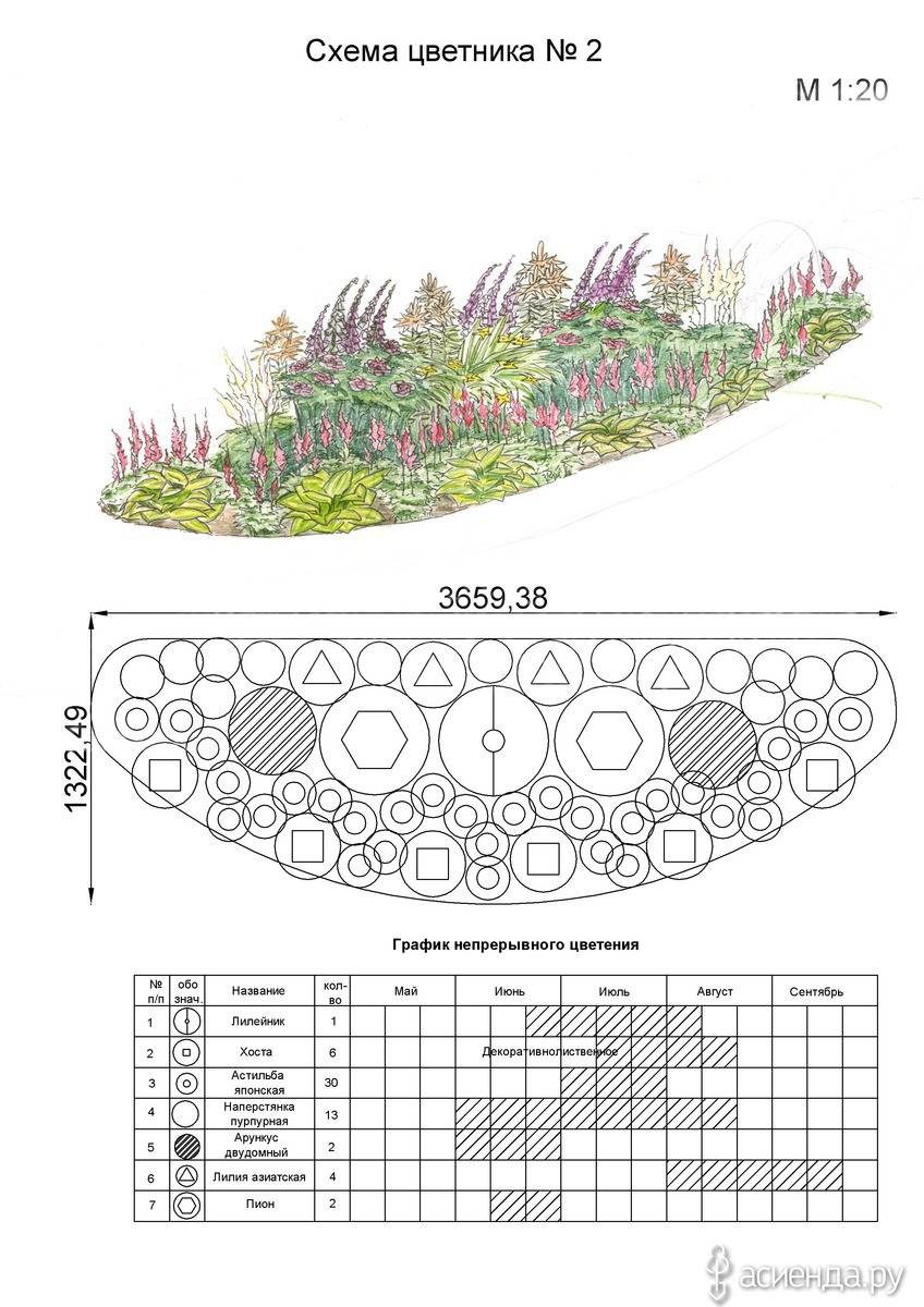 Тюльпаны в ландшафтном дизайне дачного участка | мой сад и огород