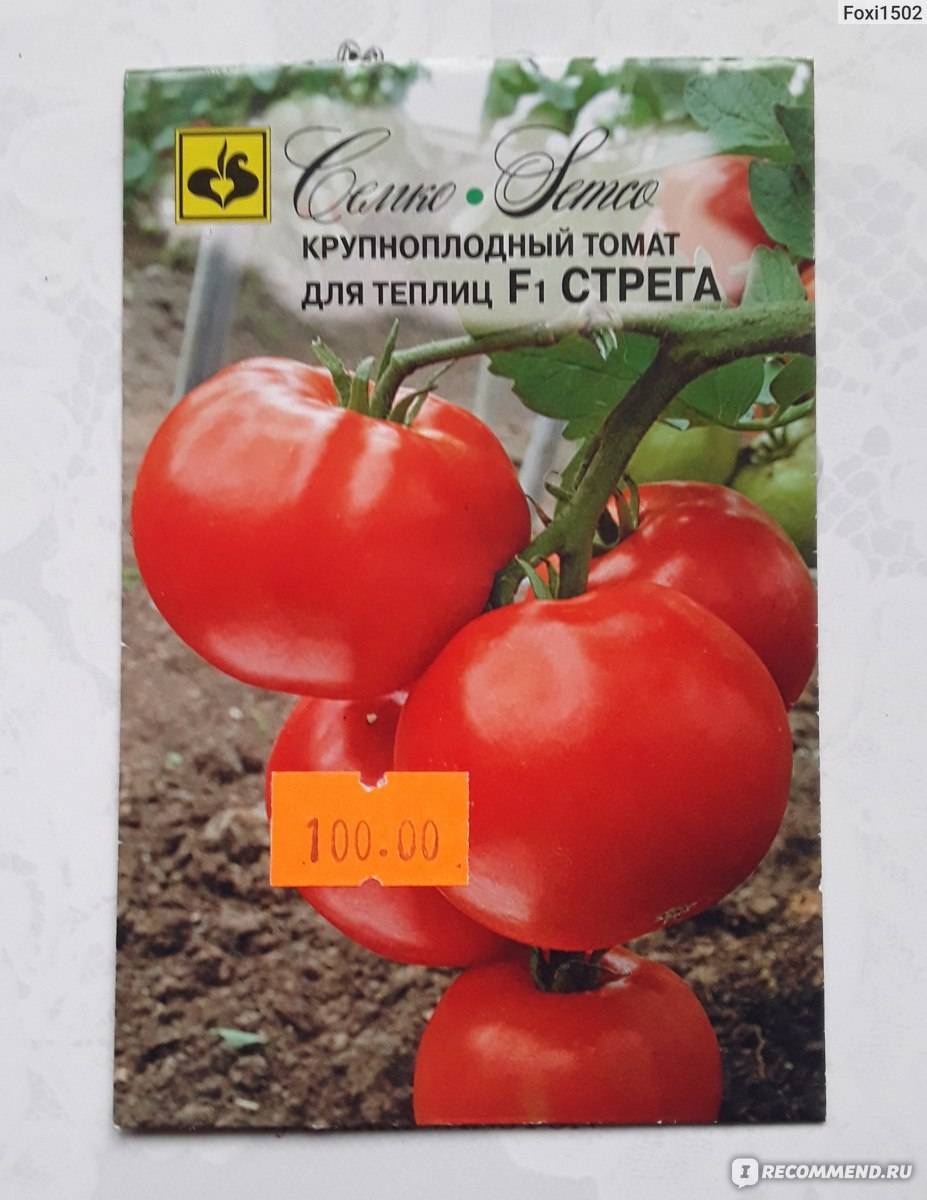 Гибрид обладающий массой достоинств — томат стреза f1: описание сорта, отзывы об урожайности