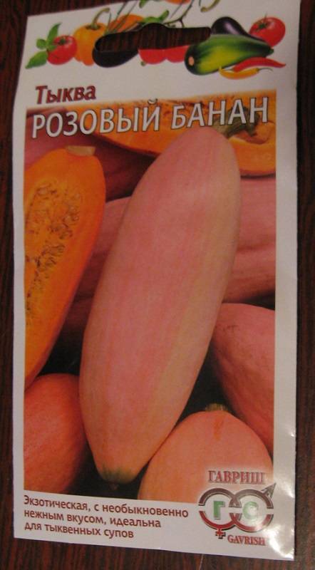 Тыква розовый банан (пинк джамбо банана): описание сладкого сорта овощей со вкусом фрукта, отзывы тех, кто его выращивал
