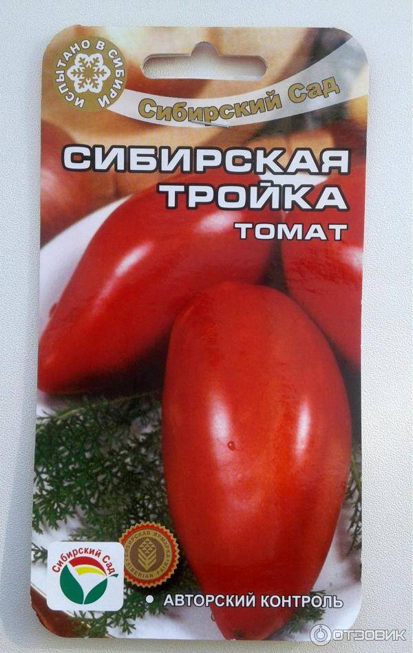 Сорт томатов - сибирская тройка • описание, характеристика и фото