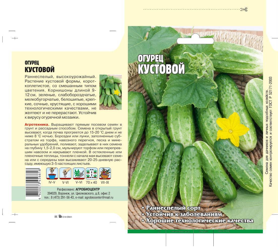 Огурец мэлс f1: описание урожайного пучкового сорта корнишонов, отзывы и фото урожая