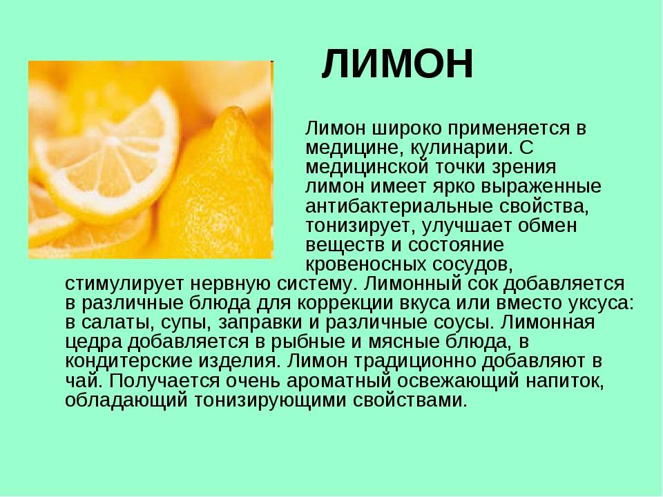 Польза и вред лимонов для организма женщин и мужчин - autodromo - автомобильный портал