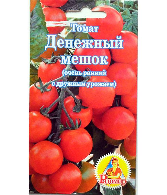 Томат денежный мешок: отзывы (17), фото, урожайность, характеристика | tomatland.ru