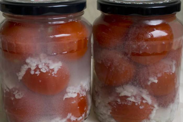 Почему мутнеет рассол в маринованных огурцах и помидорах