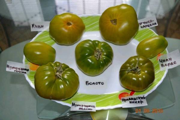 Томат самоцвет изумрудный f1: фото помидоров, отзывы об урожайности куста, характеристика и описание сорта