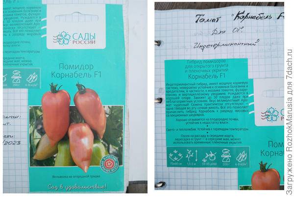 Описание сорта томата корнабель – характеристика плодов, куста, урожайность, фото