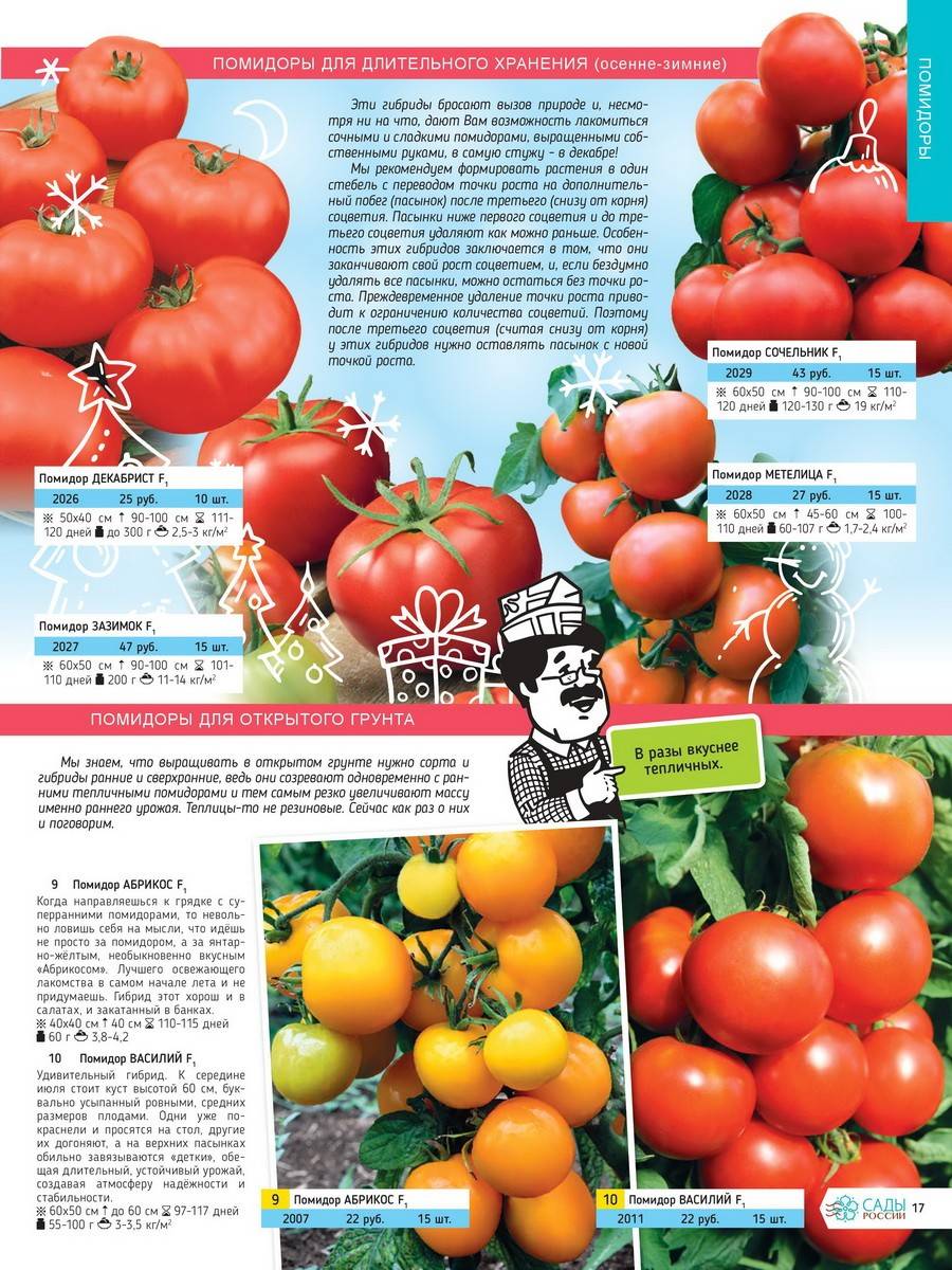 Фото, отзывы, описание, характеристика, урожайность, видео сибирского сорта томата «метелица»