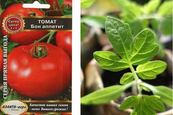 Томат бонапарт: отзывы, фото, урожайность, описание и характеристика | tomatland.ru