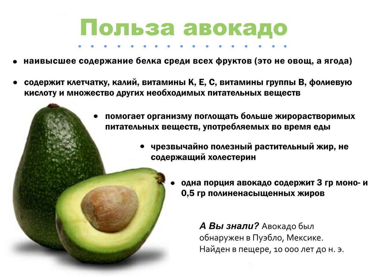 Полезные свойства и вред масла авокадо