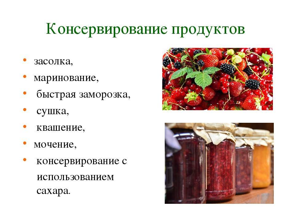 Как варить варенье из морошки, чтобы сохранить всю пользу «царской ягоды»