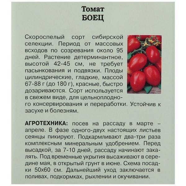 Описание супердетерминантного томата альфа и рекомендации по выращиванию сорта