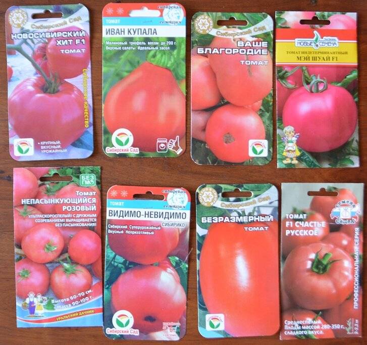 Лучшие сорта томатов: полный обзор