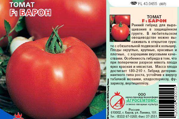 Характеристика гибридного сорта томата Барон и агротехнические правила выращивания