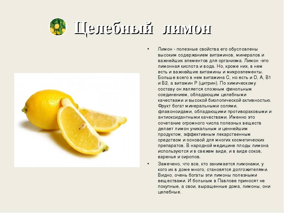 Чем полезен лимон: целебные свойства, вред и противопоказания для организма человека