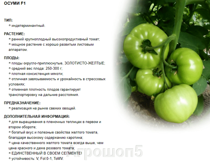 Томат интуиция f1: характеристика и описание сорта семян гавриш, отзывы тех кто сажал и выращивал помидоры об их урожайности, фото куста в высоту и видео об уходе