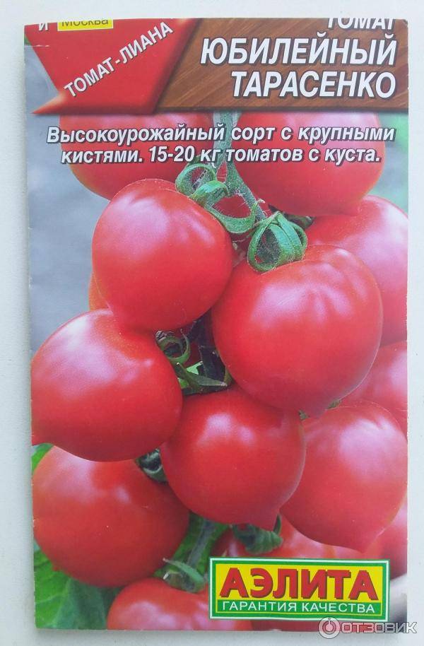 Томат легенда тарасенко (мультифлора): характеристика и описание сорта, урожайность с фото