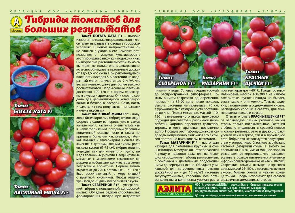 Описание сорта томата малиновка — особенности выращивания