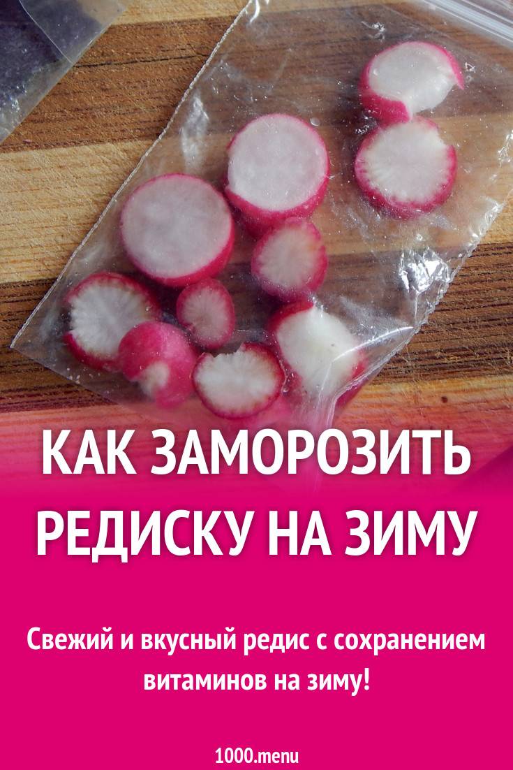 Заготовки на зиму: редис маринованный, салат из редиса - samchef.ru