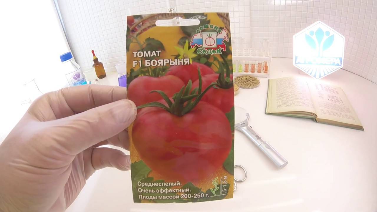 Описание томата Боярыня f1 и особенности выращивания сорта