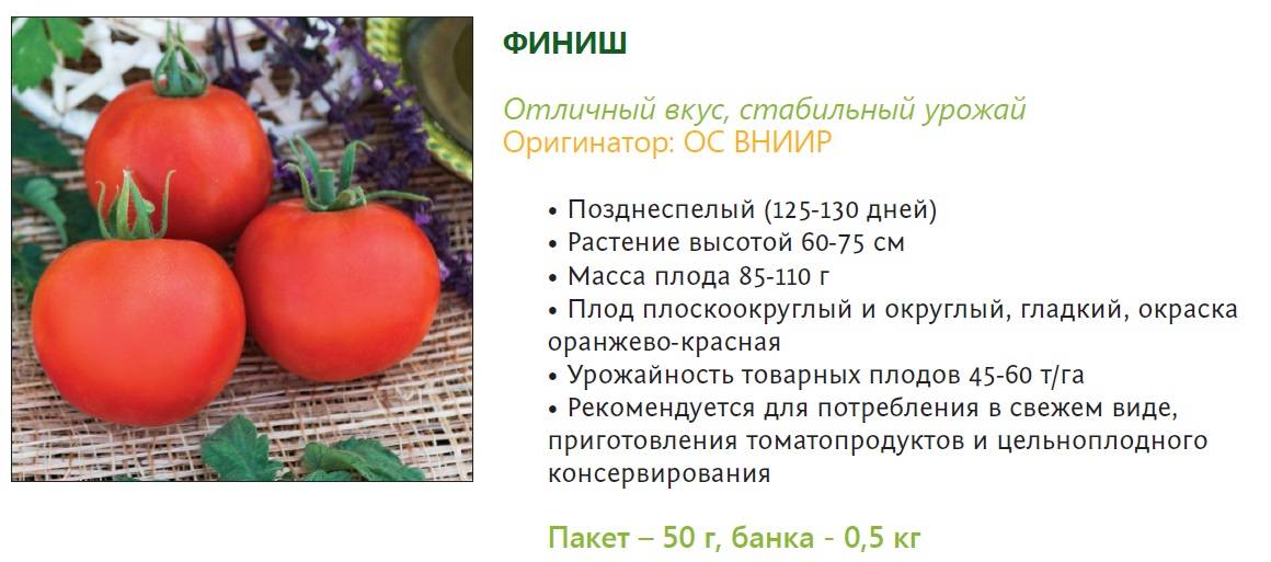 Томаты сибирской селекции: выбираем лучшие сорта и гибриды для открытого грунта и теплицы