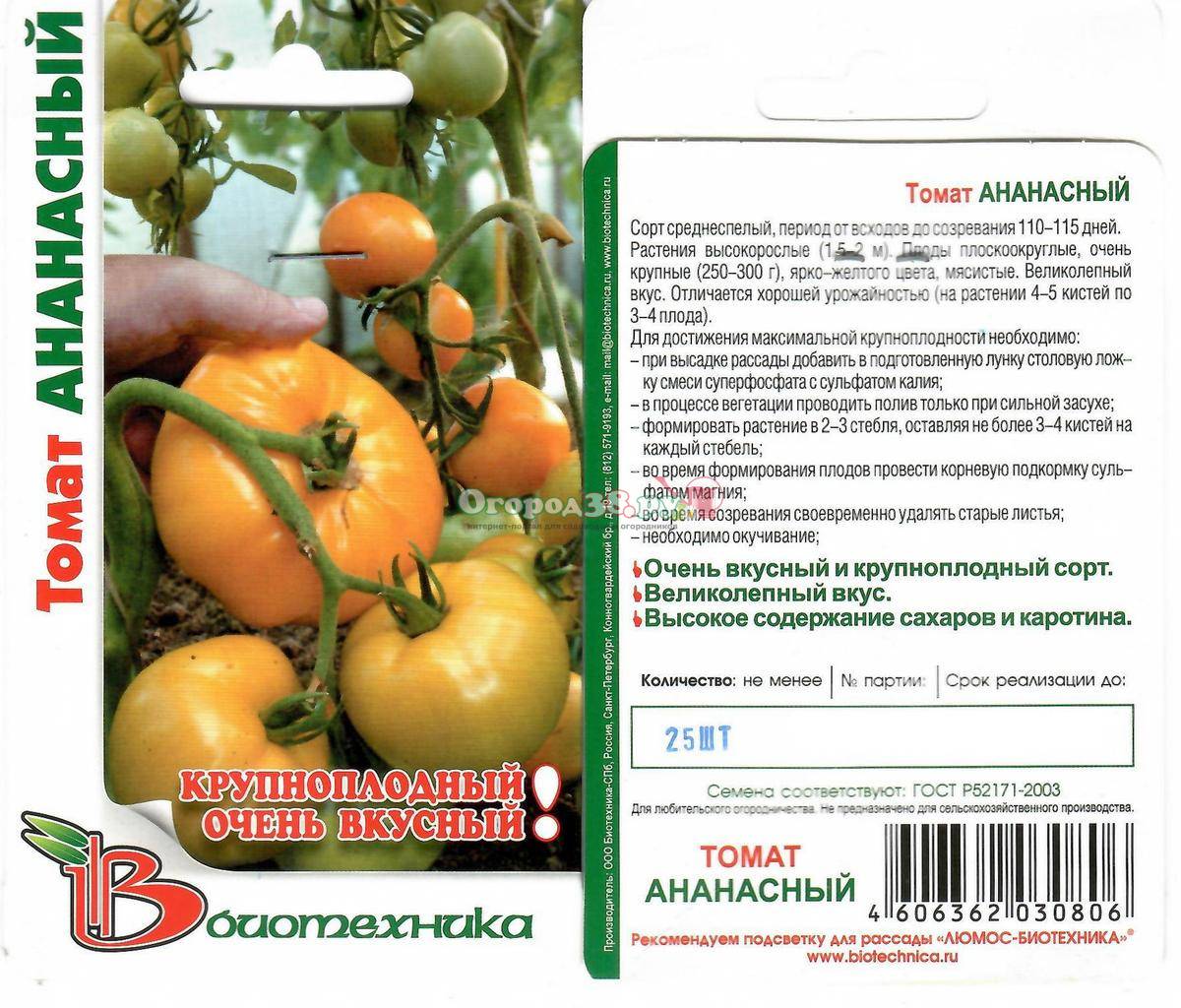Среднеспелый, высокоурожайный и необычный по форме томат «казанова»: отзывы фермеров и советы по выращиванию